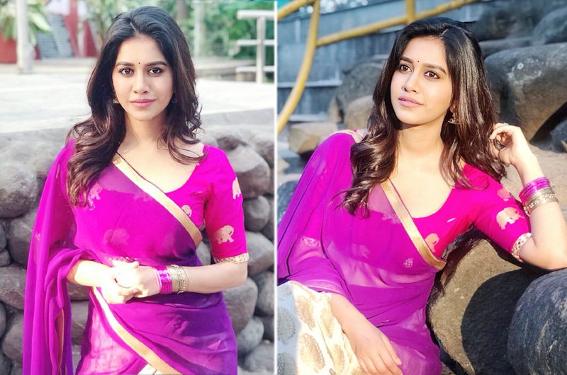 Nabha Natesh Photos