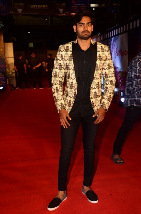 Zee-Cine-Awards-2018-Photos-13