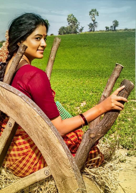 Priyamani-Narappa-Movie-Posters-04