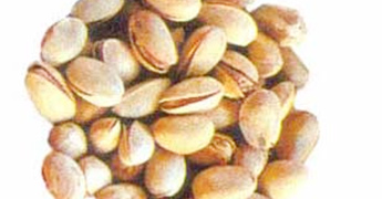 Pista Almonds can boost Mens libido
