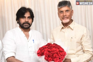 Chandrababu Meets Pawan Kalyan: Announces Fight Against Government