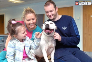 Microchip reunites dog with owners after 5 years