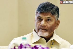 New Schemes In AP Named After Chandra Babu