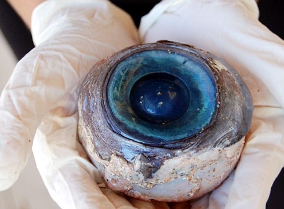 Giant eye ball recovered off Florida beach