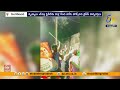 ycp activists wreak havoc