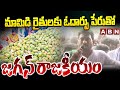 ys jagan comments on mango farmers abn telugu