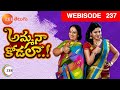 Amma Naa Kodala - అమ్మ నా కోడలా | Nalini, Nithya Ram, Kaushik | Ep - 237 | Webisode | Zee Telugu