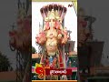ganesh immersion 2025 ntv telugu