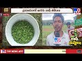 story gate tv9