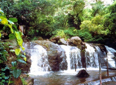 Shenbagadevi falls