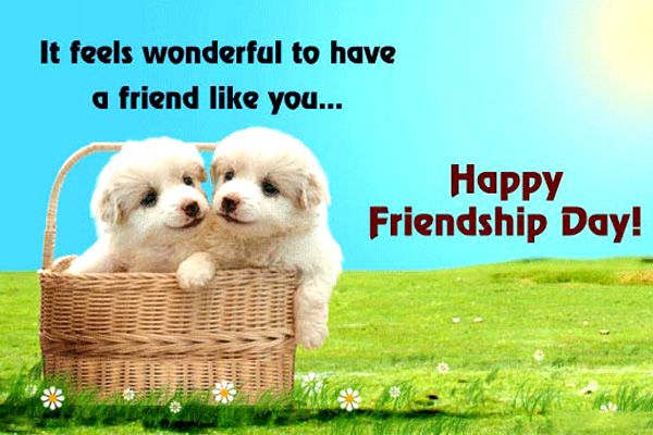Friendship day quotes images