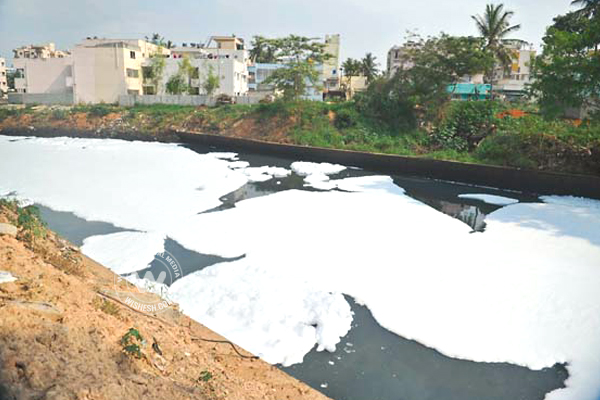 Bellandur Lake Fire Photos