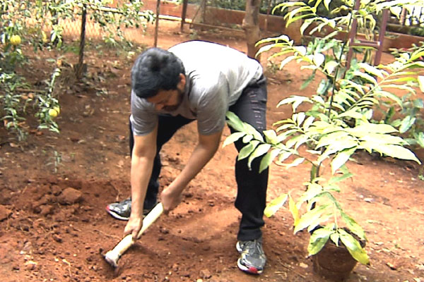 Chiranjeevi Harithaharam Photos