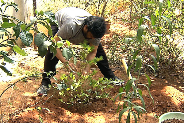 Chiranjeevi Harithaharam Photos