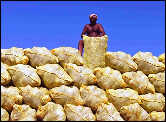 laborer-in-Chennai