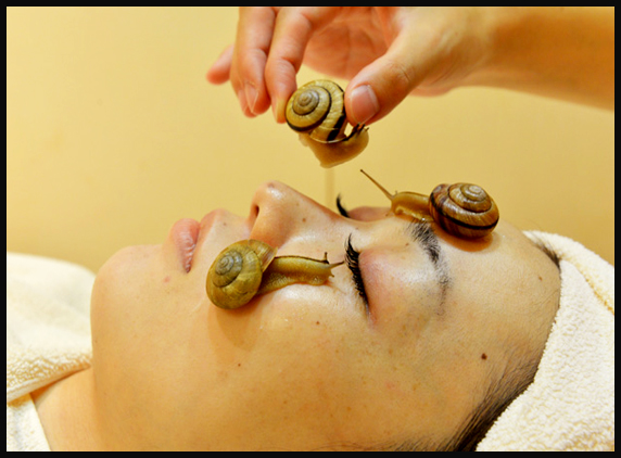 Snails Beauty Treatment