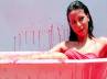 ipl, poonam pandey, this one is for dhoni topless rozyln khan, Star news
