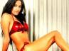 bollywood, , poonam pandey has better acting skills than bips, Amit saxena
