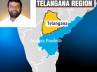 Telanagana issue, Telangana Territorial Administration, telangana maha dharna on jan 24, Maha dharna