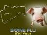 swine flu, World Health organiation, two more cases of h1n1 in pune, Noble hospital