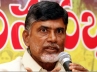 Chandrababu Naidu TDP, Chandrababu Naidu TDP, naidu demands financial aid to affected farmers, Nellore district