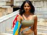 Nagarjuna, Actress Anushka, anushka s waiting for dhamarukam to release, Dhamarukam