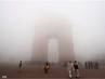 death toll, sunday temperature, chilly new year for delhi, North india cold wave