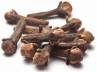 healing with cloves, power of cloves, clove it s tiny but powerful, Dentist