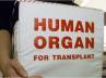 Transplantation of Human Organ Rules, organ donation, new norms for organ transplant bad decision, Organ donation
