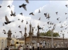 Yaum-e-Ashoora, Babri Masjid demolition, security beefed up in ap capital, Procession