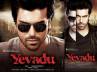 Zangeer, Zangeer, yevadu comes in april, Julai