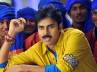 mega family, power star, power star in no mood to leave hyderabad, Cmgr