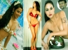 Veena Malik, Poonam Pandey, artist beaten up over vidya poonam nude paintings, Veena malik
