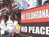 Telangana, Andhra go back hate campaign, finally all t birds to flock together, Stir