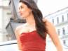 touted wedding, marriage, kareena shaping up for the big day, Touted wedding