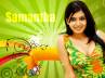 Ye Maya Chesave, Samantha tweets, silverscreen sweetheart samantha to quit reel world in 2015, Samantha tweets