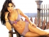 semi nude photo shoot of irina shayk, Irina Shayk, no playboy for me says lingerie model irina shayk, Lingerie