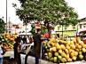 tender coconuts, Hyderabad, tender coconut prices touch sky, Tender coconuts