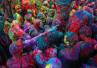 Hindu festival, Vrindavan, slideshow festival of colours emotions through photographs, Holi festival 2013
