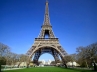 87.8 tonnes, Engineering group Ginger, eiffel tower could become world s largest tree, Ginger
