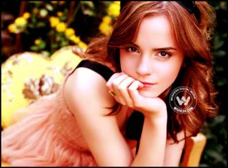 Emma Watson&#039;s red carpet worries