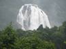 South Goa, Forest Department Check post at Mollem, yatra wishesh dudh sagar waterfall a sea of milk, Accommodation