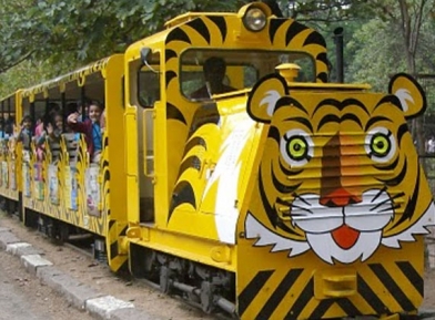 Freak accident- Zoo train hits a man at Hyderabad