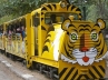 Venkataswamy serious, Nehru Zoological park, freak accident zoo train hits a man at hyderabad, Nehru zoological park