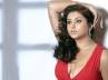 Namitha stills, Hot Namitha, hot namitha to cameo in parvathiputra, Director ramprasad
