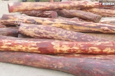 Smuggling, Red sandal wood, a chinese accused in red sandalwood smuggling, Sanda