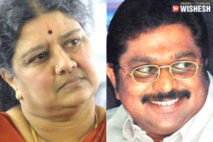 Tamil Nadu Cabinet Sidelines Sasikala, Dinakaran From Party