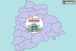 Central Cabinet Approves AIIMS In Telangana
