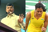credit, credit, ap cm takes credit of p v sindhu s victory, Olympics