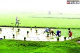 Amaravati farmers, Amaravati farmers latest, ap capital farmers move to high court against expert committee, Amaravati farmers